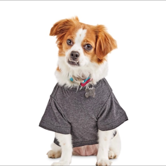 Reddy Dog Reddy Xl Dog Tshirt Charcoal Grey Poshmark
